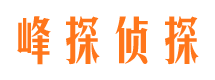 同仁市婚外情调查